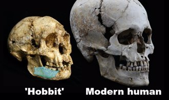 「哈比人」可能是爪哇直立人的后裔 因智人到来而消失