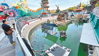 高雄 蓮池潭環潭步道 烏龜池將填平