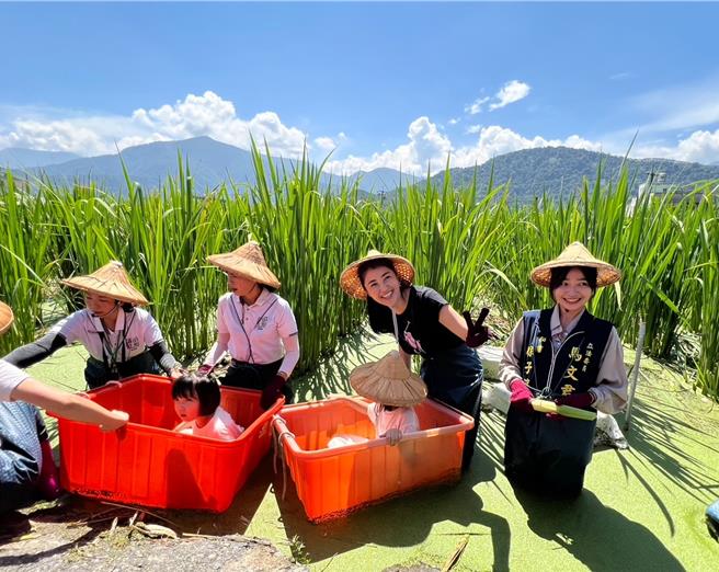歷屆人腿公主帶著孩子回娘家進行農間體驗，許淑華也親自穿著青蛙裝下田。（楊靜茹攝）