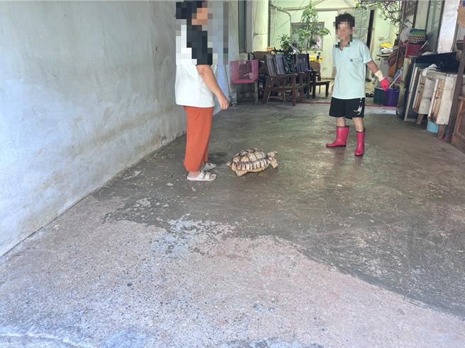 阿嬤（右）發現自己養的烏龜又溜出門很擔心，很感謝大家幫忙找到牠並帶回家。（清水警分局提供／張妍溱台中傳真）
