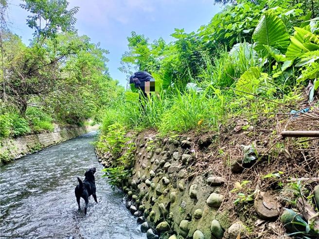 新竹市警消出动大批人力，在48小时的地毯式连续搜索后，最终在7日上午于树林旁水圳找到陈妇并将她送医。（新竹市政府提供／王惠慧新竹传真）