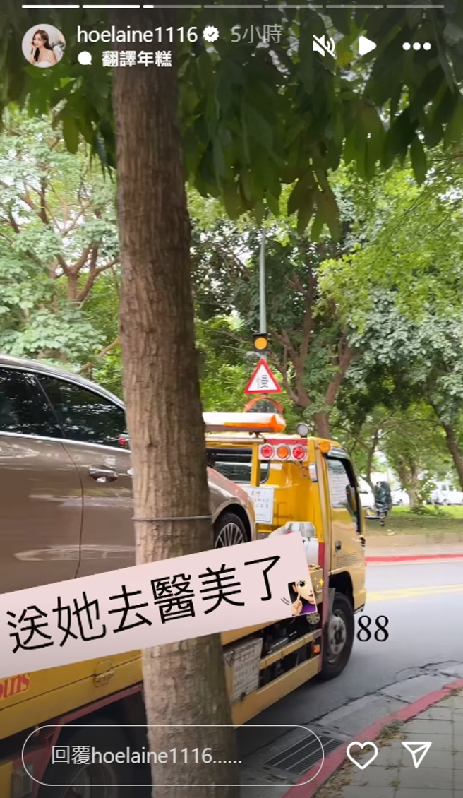 荳荳车子送去维修费用恐破万。（图／翻摄自hoelaine1116 IG）