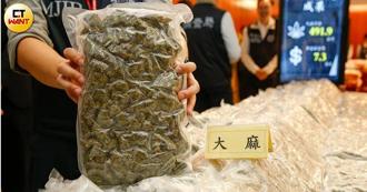 大麻黑数多！10年查获量增18倍　学生吸食人数窜升令人忧心