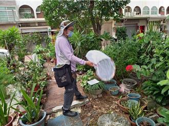 凯米后登革热蠢动 台南开出846张举发单、住家违规最多