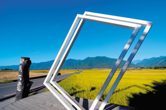 台東伯朗大道電動車犁田 女駕駛1行爲釀禍