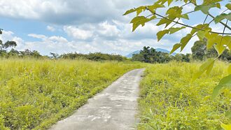 灾后重生 日光小林打造低碳农场