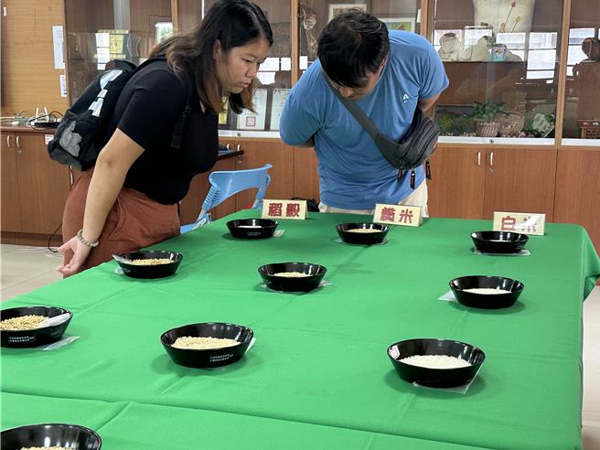 台东县地区农会8日举办稻米品质竞赛。（蔡旻妤摄）