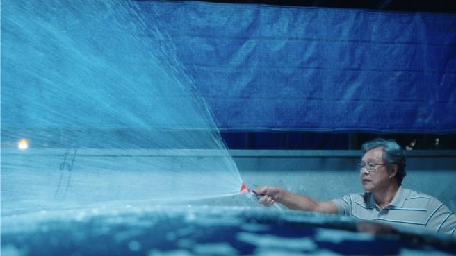 楊烈日前受邀參演「沒有才能」新歌MV。（華研國際提供）