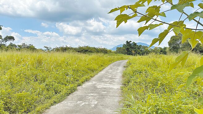 高市杉林區日光小林社區後方將打造全台首座1甲地社區型低碳農場。（林雅惠攝）