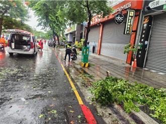 高雄清晨暴雨！路樹樹枝突斷裂   當場擊落2騎士