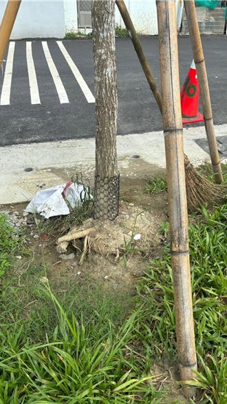 高雄雷雨開炸路樹又倒原來是這原因  民代轟「不定時炸彈」