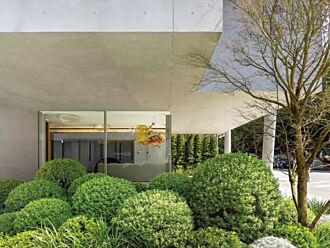 大陸建設新作衡沐 將自然森林帶回城市