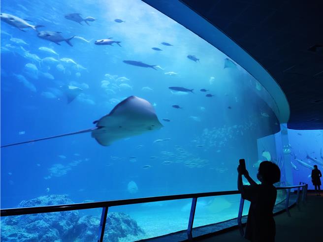民眾沈浸在海生馆蓝色的世界。（罗琦文摄）