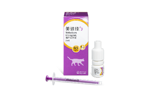 治疗与照护：药物止痛与生活习惯双管齐下