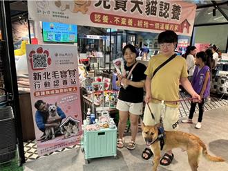 毛孩「閃閃惹人愛」！新北認養會超熱鬧 情人節牽手回家