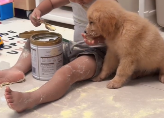 午睡完家中靜悄悄 母驚有詐！兒竟揪小黃金「大啖奶粉」