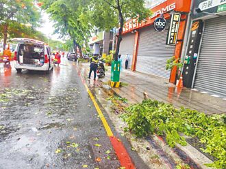 高雄大雨 樹枝砸中3騎士 新北雷擊 天降水泥塊傷人