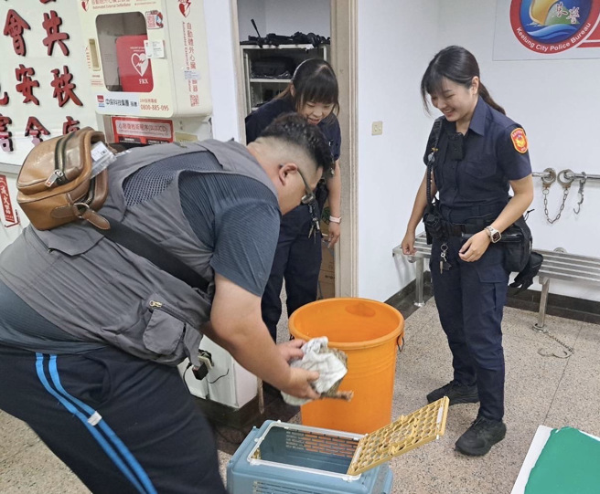 基隆有一隻穿山甲在馬路上慌亂逃竄，擔心其遭車輛撞擊，警方隨即出動處理。（圖警方提供／簡銘柱翻攝）