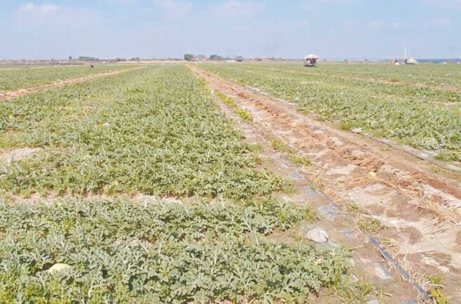 （图／本报系资料照）