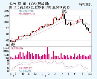 祥碩 半年賺逾兩股本