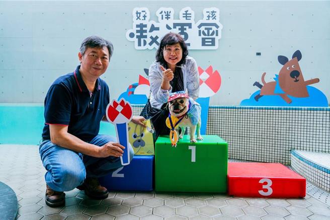 高雄市动物保护处长叶坤松（左）颁奖予冠军（法斗犬Bunny（邦尼））。（高雄市农业局提供／林雅惠传真）