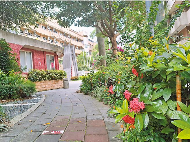 中和區壽南里14鄰鄰長夫人與里民認養中和國中前行人道花圃已8年。（温予菱攝）
