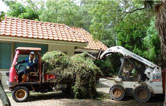 除「綠癌」換現金！台中加碼 每公斤8元收購小花蔓澤蘭 