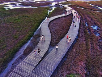 韓男獨遊高美濕地後搭Uber 車上突趴後座昏倒！送醫不治