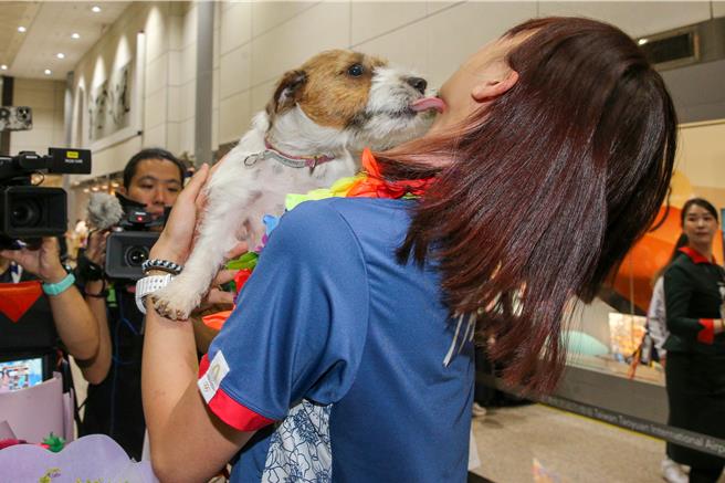 罗嘉翎的家人带着她的爱犬「欧巴」前来接机。（陈麒全摄）