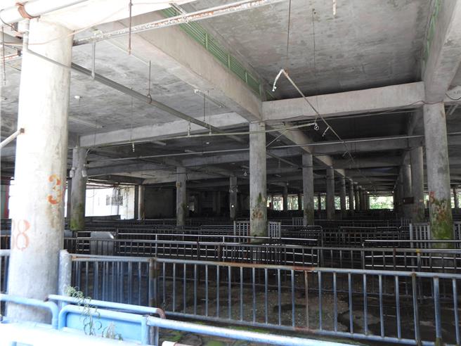 花莲县农产运销公司屠宰场繫留栏空间老旧、臭气冲天，空间开放不时有鸟停留顶棚，其排放的排泄物可能影响环境卫生。（罗亦晽摄）