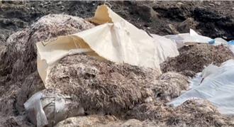 雲林西螺農田附近飄酸腐惡臭 查獲動物性廢渣400噸！10人送辦
