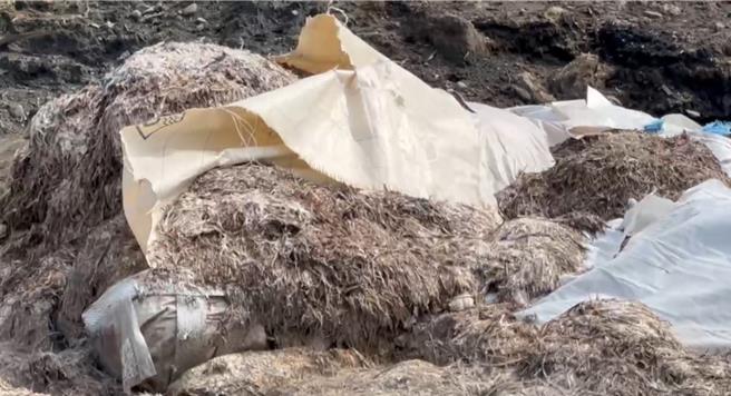 雲林縣警察局在西螺鎮濁水溪河川地，發現不法業者傾倒屠宰場家禽動物性廢渣，數量達400餘公噸（見圖），13日警方表示陸續逮捕主嫌陳男、共犯9人，全案依違反《廢棄物清理法》送辦。（雲林縣警察局提供／張朝欣雲林傳真）