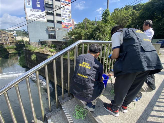 基隆市安樂區大武崙溪出現大量河魚翻白肚暴斃，基隆市環保局初步判定不是河川汙染，而是含氧量不足。（張志康攝）