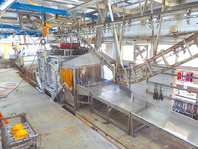 花蓮縣農產運銷公司近2年由中央挹注1.1億元經費，更新肉品市場2條屠宰線，但目前只有1條正式上線，且啟用不到2年卻出現嚴重生鏽。（羅亦晽攝）