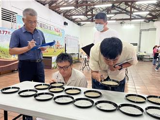 南投草屯稻米達人選拔  常勝軍李啟元奪冠將參加全國賽