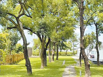 台中 餐廳開趴放彩煙 違空汙法開罰