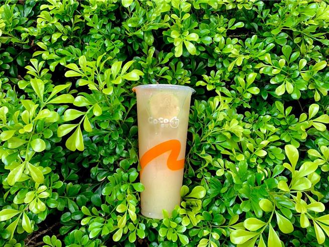 CoCo青芭乐柠檬绿。（CoCo提供／吴娮翎台北传真）