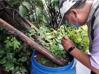 台南境外登革熱＋1 男出國返台發燒 定點醫師揪出