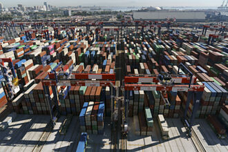 MSC帶頭 海運業以漲抗跌