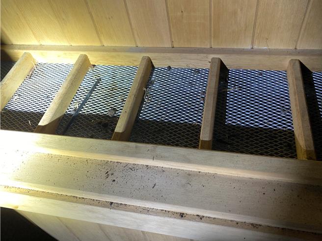 警方于民宿中四处搜索时，发现小木屋内的三温暖却正在运作，入内发现烘炉设备上，正在乾燥烘制大麻叶。（翻摄照片／洪靖宜高雄传真）