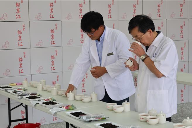 苗栗市农会主办的苗栗县「猫里红」优质红茶评鑑竞赛，由茶改场副场长邱垂丰率队担任评审，15日结果出炉。（谢明俊摄）