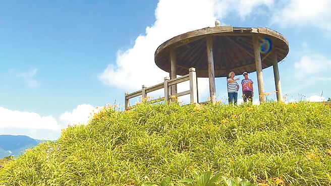 台东县太麻里金针花季登场，金黄花海绽放满山翠谷，乡公所推出限定赏花专车，单人即可成行，漫游金色花海。（萧嘉蕙摄）