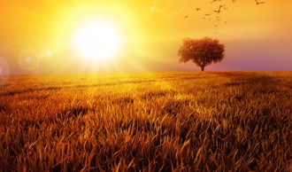 「处暑」下周到！2生肖小心意外 喝1物财运大旺