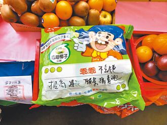 非核神主牌 北部缺電主因