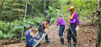 八德三元宮中元普渡！從尋竹到豎燈篙5大祭典步驟揭秘