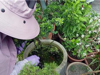 台南確診第14例境外移入登革熱 30歲男有泰國旅遊史