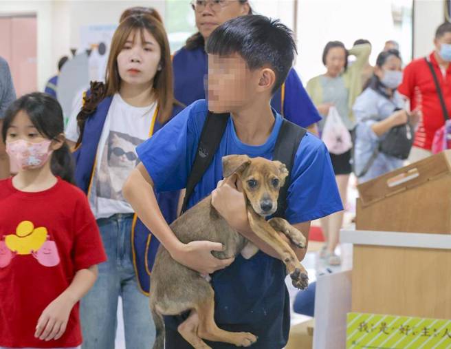 高雄市动物保护处在燕巢动物关爱园区的「吹狗螺度假村」推出「动物职人Baby Boss与浪漫狗医生」体验系列课程，图为学员与狗互动。（动保处提供／林瑞益高雄传真）