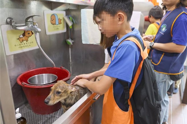 高雄市动物保护处在燕巢动物关爱园区的「吹狗螺度假村」推出「动物职人Baby Boss与浪漫狗医生」体验系列课程，图为学员帮狗洗澡。（动保处提供／林瑞益高雄传真）
