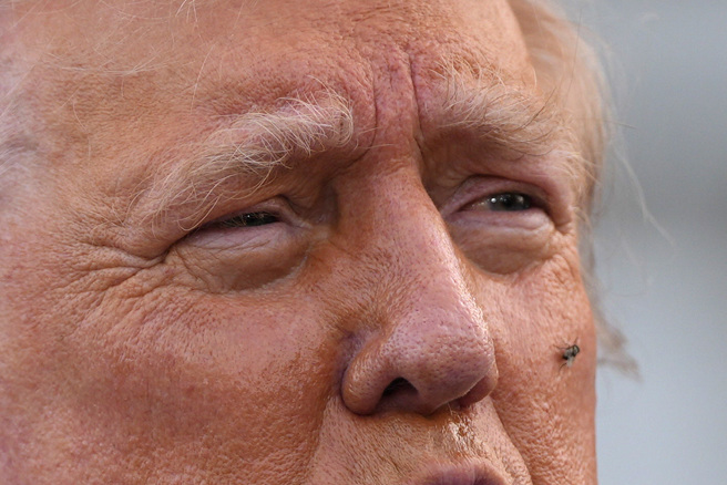 美国共和党总统候选人15日在新泽西州贝德敏斯特（Bedminster）的高尔夫俱乐部举行记者会时，一只苍蝇意外停在他脸上。（美联社）