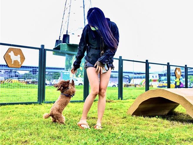 台北市公园约有905座，其中240座有监视器、665座没有监视器，监视器数量最多的是大安森林公园40支，反观提供毛小孩与饲主一起同乐的21座狗运动公园，监视器数量却是挂零。（动保处提供／丁上程台北传真）